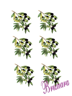 90241 Azeitona - loja online