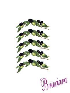 90241 Azeitona na internet