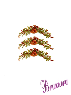 90302(A) Azevinho com Sinos Curvo na internet