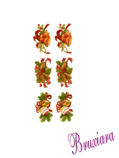 90302(D) Azevinhos na internet