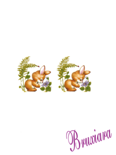 55425(C) Coelhos - comprar online
