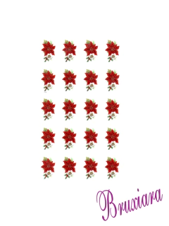 55229 Poinsettia - loja online