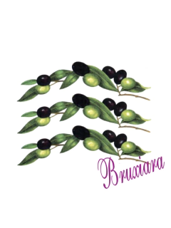 90241 Azeitona - comprar online