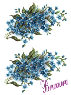 55441 Miosótis Azul - comprar online