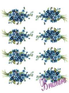 Imagem do 55441 Miosótis Azul