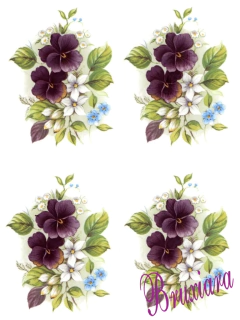 Imagem do 55450 Violetas