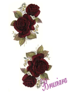 55455 Rosas Púrpura na internet