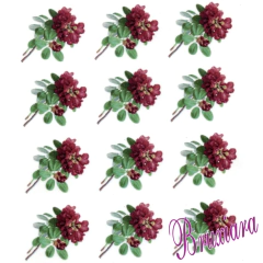 80050 Flor - loja online