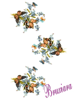 90001 Borboletas c/ Miosótis na internet