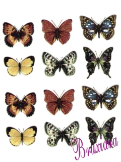 90004 Borboletas - comprar online