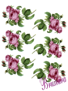 90057 Rosas - comprar online