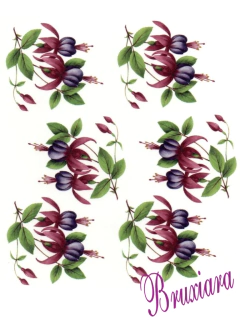 90064 Flor na internet