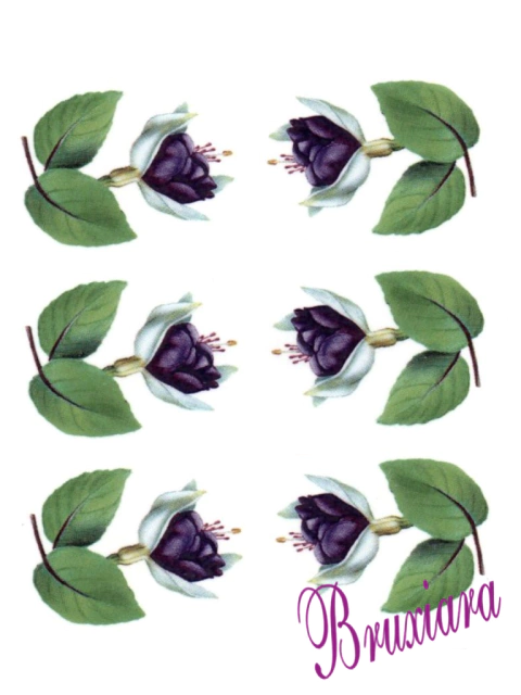 90065(G) Flor - loja online