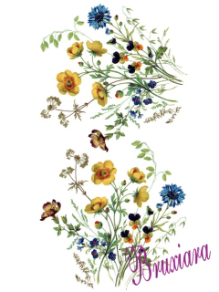 90066(B) Flores na internet