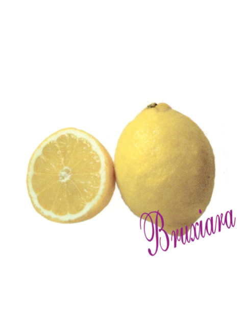 55567(C) Limão siciliano - comprar online