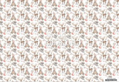 Lam. Mate 33x48 cm. Animalitos 10