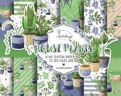 DNL - House Plants