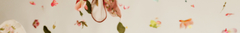 Banner de la categoría BEBE 