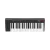Controlador de 37 Teclas IK Multimedia iRig Keys 2 - TC0087 na internet
