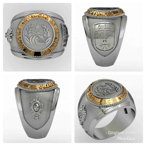 Armored instruction center ring in sterling silver with 750 -18k gold - buy online