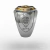 Anel da turma 2016 prata de lei com ouro 18k - Ginglass Joias3D & Modelagem3D 