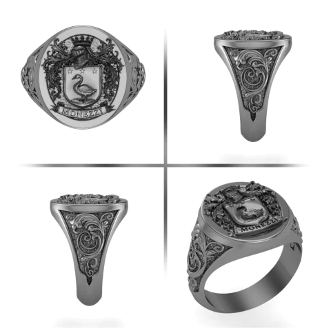Anel Brasao da Família Monezzi - comprar online
