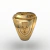 Anillo de intendencia de la escuela naval en oro (750) 18k - Ginglass Joias3D & Modelagem3D 