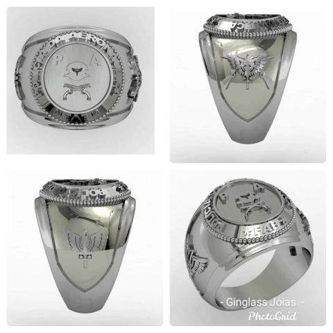 Anillo de policía aeronáutica en plata de ley (950)