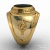Contemporary ring of the military academy of the black needles in gold (750) 18k - online store