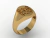 Image of Belt family crest ring in 18k gold