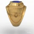 Commercial pilot's ring in 18k gold - Ginglass Joias3D & Modelagem3D 