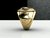 Anel Mishteret Yisrael (Polícia de Israel) em Ouro - Ginglass Joias3D & Modelagem3D 
