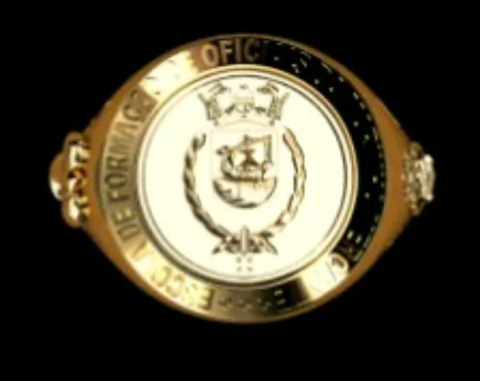 Anel Ciaba Feminino em Ouro