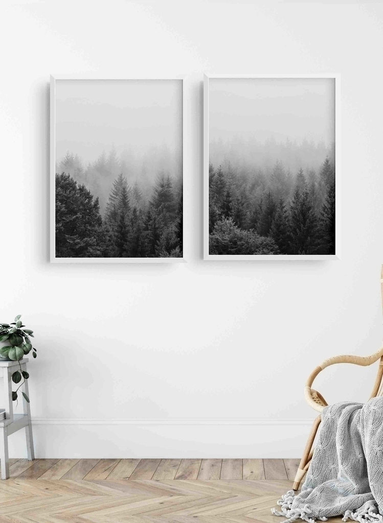 Set Bosque