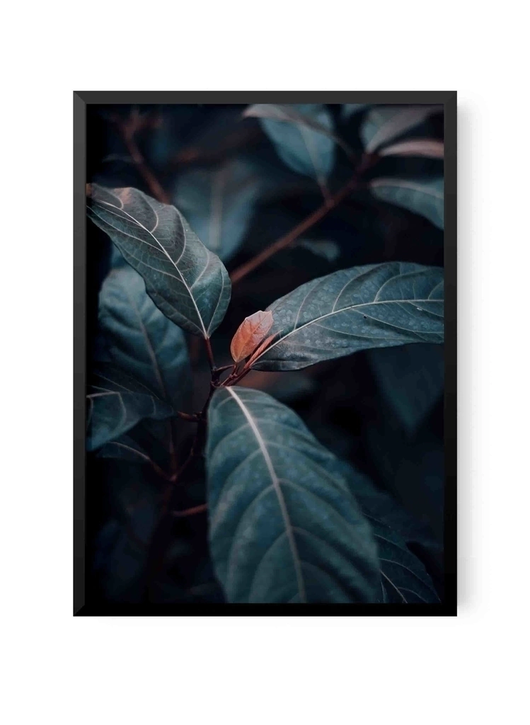 Plant Leaf Detalle