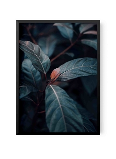 Plant Leaf Detalle