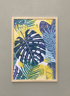 Monstera azul