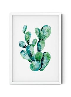 Cactus en internet