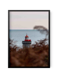 Faro B