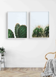Set Bosque