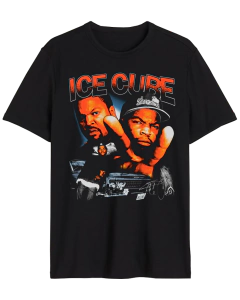 Ice cube
