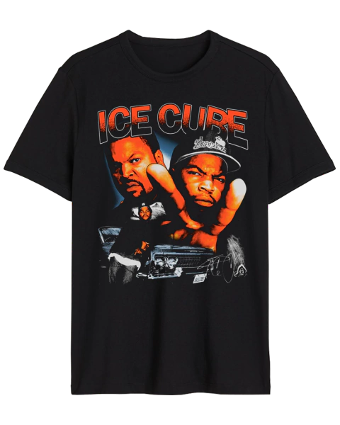 Ice cube