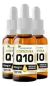 COENZIMA Q10 30ML SABOR LARANJA FLORA NATIVA DO BRASIL na internet