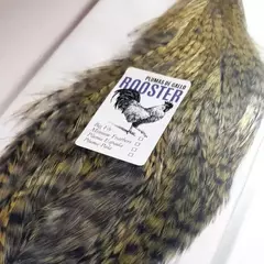 Half Indian Rooster Neck - comprar online