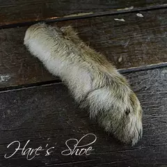 Pata de Liebre Andina (snow Shoe) - comprar online