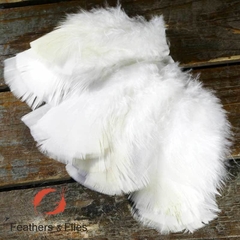 Turkey Flats - comprar online