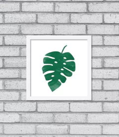 Quadro Monstera - loja online
