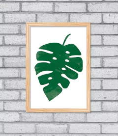 Quadro Monstera