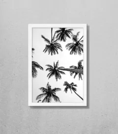 Imagem do Quadro Coqueiros