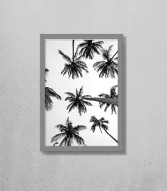 Quadro Coqueiros - comprar online